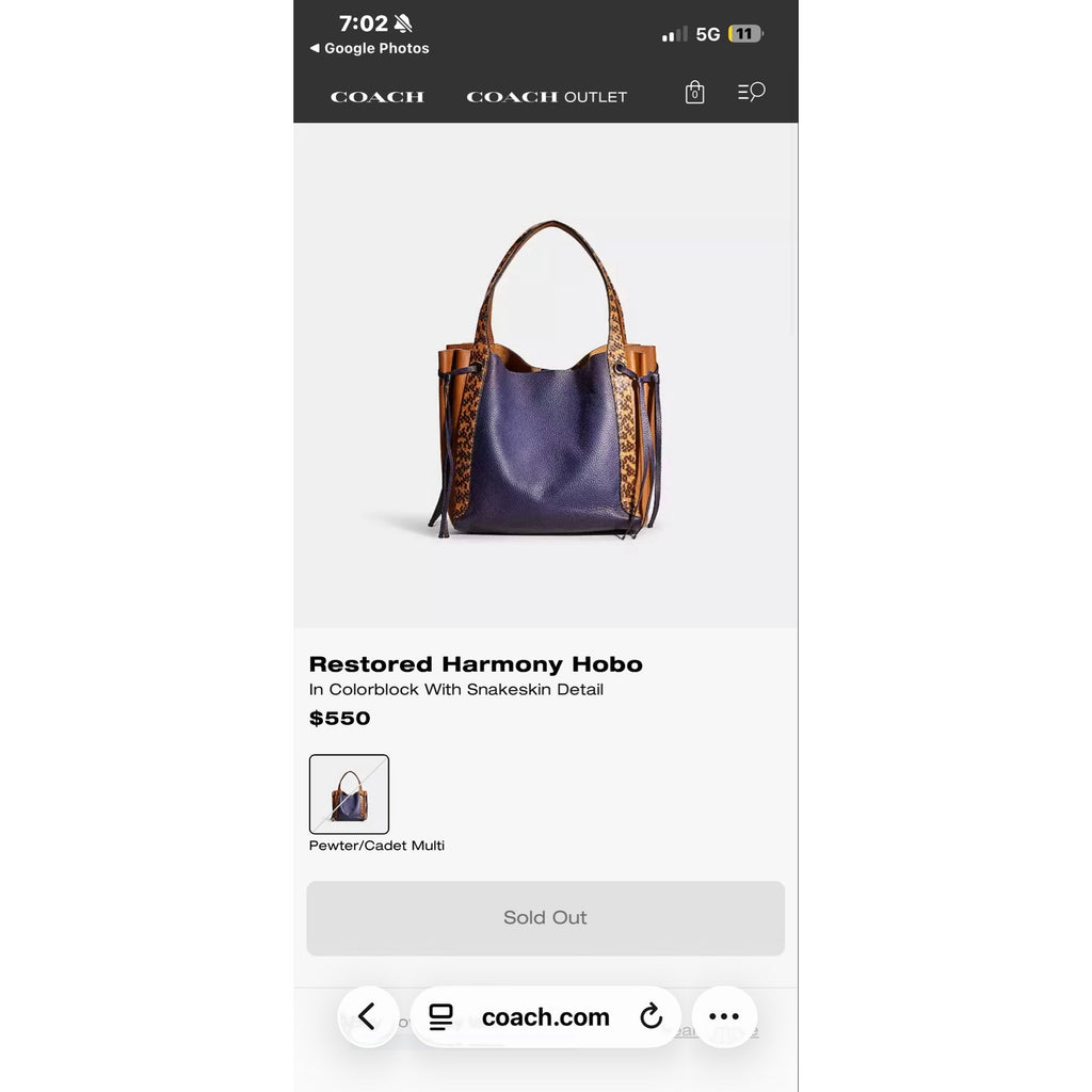 Restored Harmony Hobo
In Colorblock With Snakeskin Detail