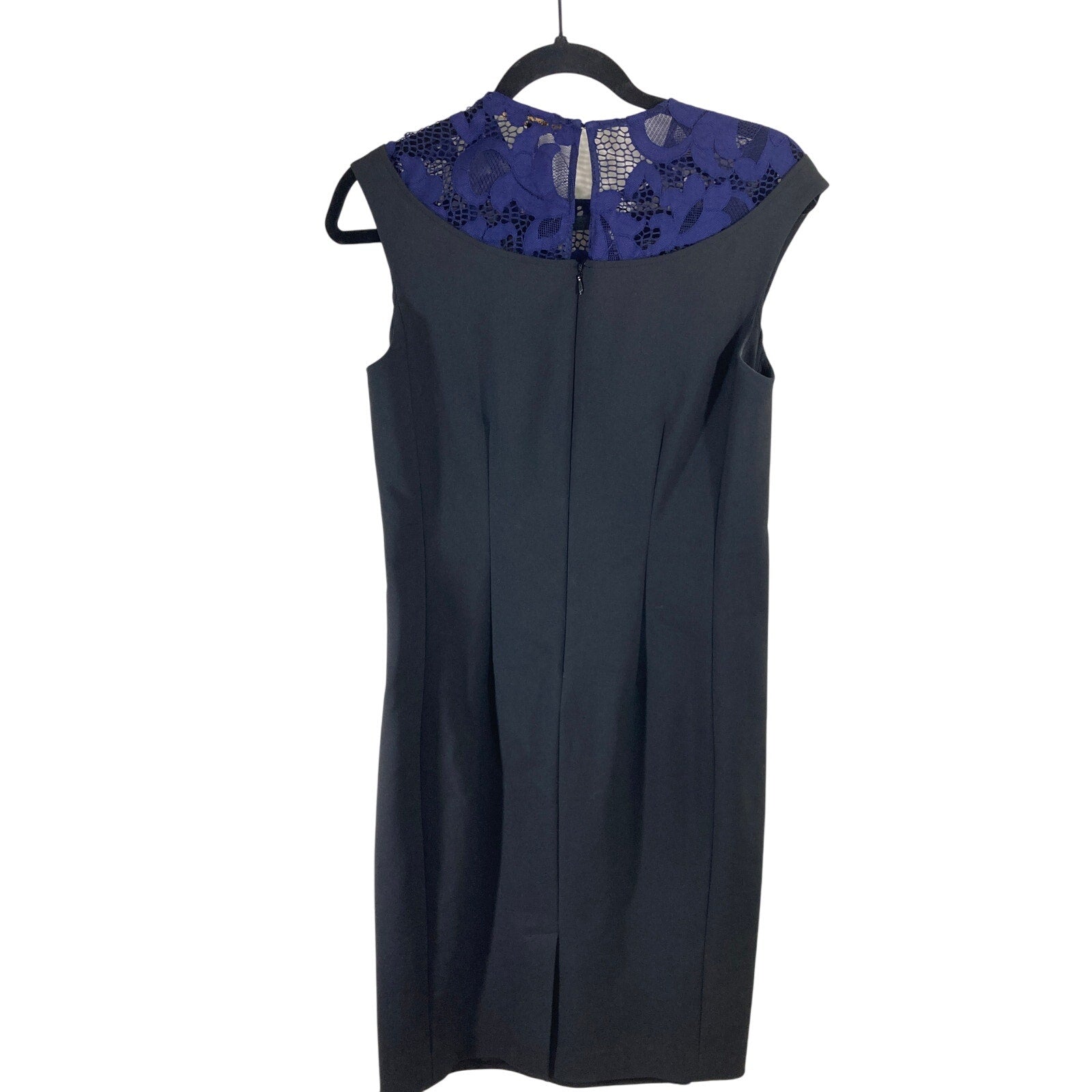 Cynthia Steffe Pleated A Line Lace Collared Cotton Dress