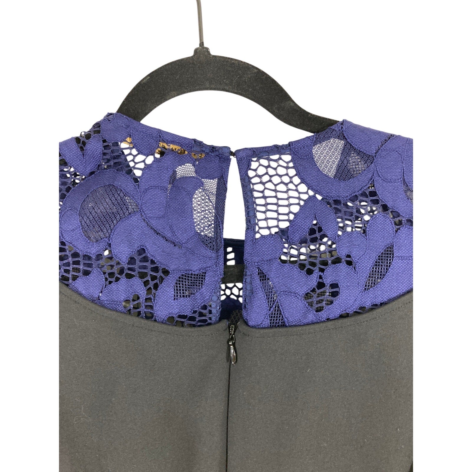 Cynthia Steffe Pleated A Line Lace Collared Cotton Dress